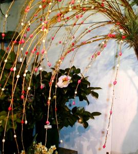 新春のご挨拶（京都の花屋）｜「フラワーブティック　ロージーガーランド」　（京都府京都市左京区の花キューピット加盟店 花屋）のブログ